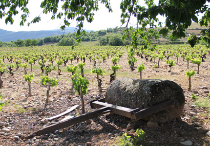 el llano